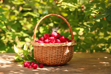 Wicker basket with fresh raspberries on wooden table outdoors