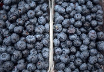 Containers with ripe blueberry at market, closeup