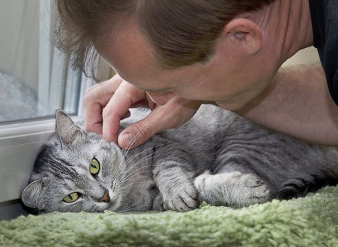 Man playing with a cat