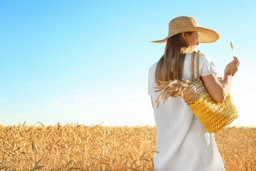 Obraz premium Beautiful woman with wicker bag in wheat field on sunny day