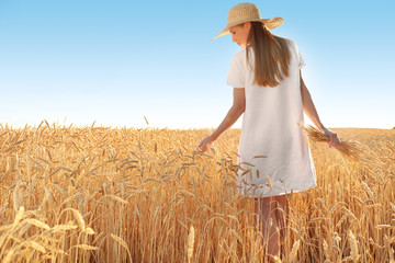 Obraz premium Beautiful woman touching wheat spikelets in field on sunny day