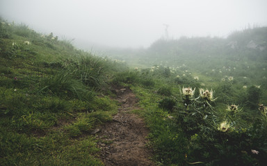 scary hiking path on steep mountain. hiking path grass, brienzer rothorn switzerland