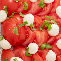 tomaten mozarella mit Basilikum