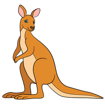 Cartoon animals. Cute beautiful kangaroo smiles.
