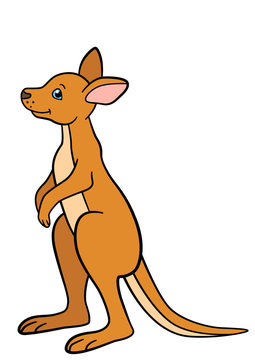 Cartoon animals. Little cute baby kangaroo smiles.