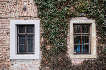 Fototapeta na wymiar Old building with two windows and green plants