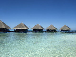 Maledives 