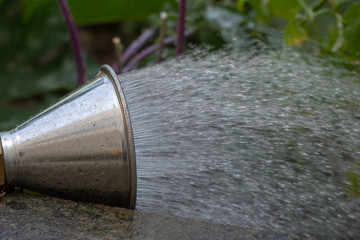 Bewässerung mit Brause im Garten bei trockenem Wetter