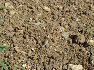 фотография земли