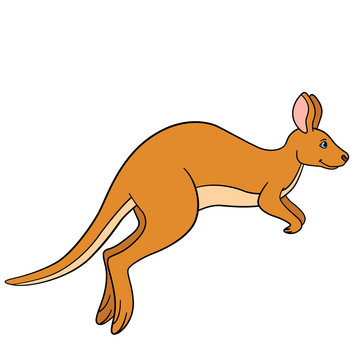 Cartoon animals. The cute kangaroo runs.
