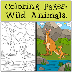 Coloring Pages: Wild Animals. Mother kangaroo with baby.