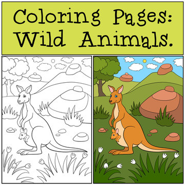 Coloring Pages: Wild Animals. Mother kangaroo with baby.