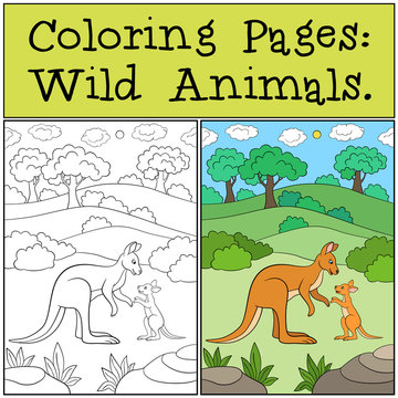 Coloring Pages: Wild Animals. Mother kangaroo with baby.