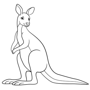 Coloring pages. Cute kangaroo smiles.