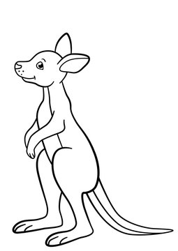 Coloring pages. Little cute baby kangaroo smiles.