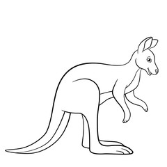 Coloring pages. Cute kangaroo smiles.