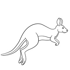 Coloring pages. Little cute kangaroo runs.