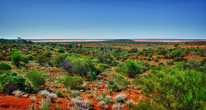 Desert outback landscape, Goldfields near Kalgoorlie, Western Australia, Australia