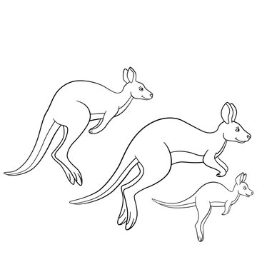 Coloring pages. The kangaroo family runs.