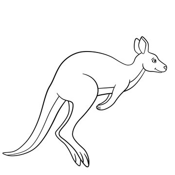 Coloring pages. Little cute kangaroo runs.