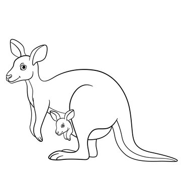 Coloring pages. Mother kangaroo with her little baby.