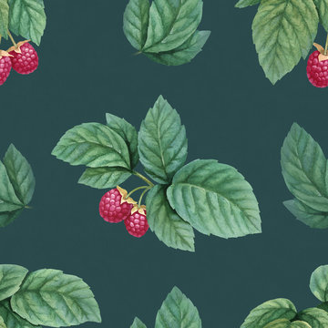 Watercolor illustration of raspberries. Seamless pattern
