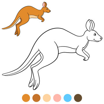Color me: kangaroo. Cute beautiful kangaroo runs.