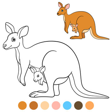 Color me: kangaroo. Mother kangaroo with her little baby.