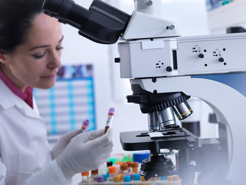 Scientist examining bar code and label on blood sample before medical testing
