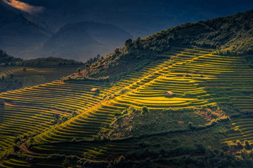 Rice fields on terraced with wooden pavilion at sunrise in Mu Cang Chai, YenBai, Vietnam.