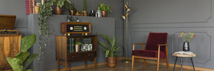 Radio on wooden cabinet in retro grey living room interior with plants and red armchair. Real photo