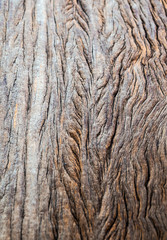 Abstract texture on surface of old wooden board