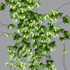 painted green ivy plant on a gray wall