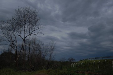 Fototapeta na wymiar Raining season in the Sertão of Brasil