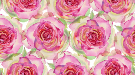 Obraz na płótnie Canvas Watercolor roses