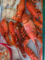Lobsters on Display