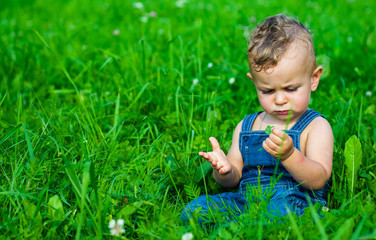 Cute baby boy sitting on green grass in park