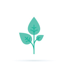 Three Green sprouts, sprigs, raw with silhouette leaf. Icon Isolated on white. Logo for eco company, agriculture.