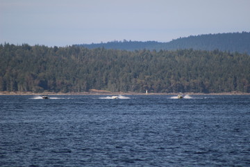racing boats