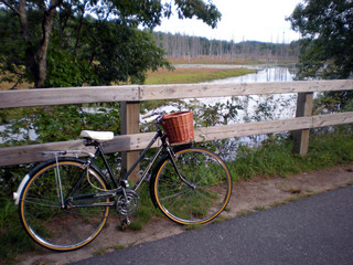 Fototapeta na wymiar Vintage bicycle with basket by a fence by a river