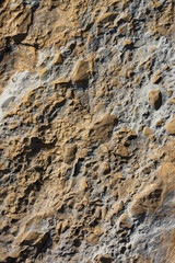 Stone Textures
