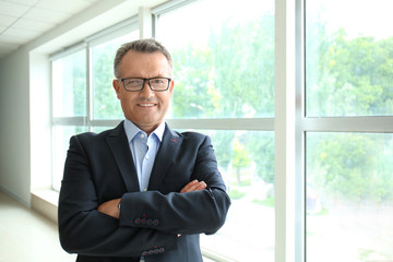 Mature businessman near window in office