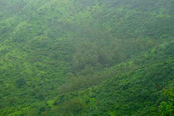 Lush green monsoon nature landscape mountains, hills, Purandar, Maharashtra, India 