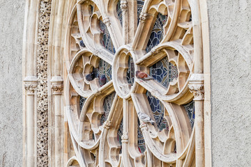 Pigeons resting on the gothic window of a historic church or cathedral
