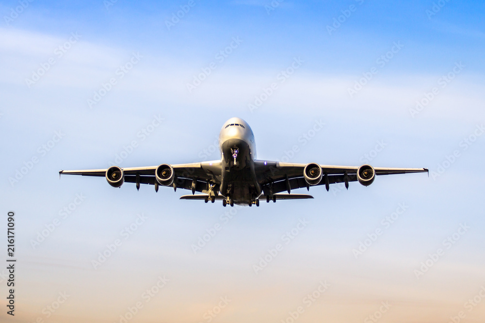 Wall mural Airplane ist landing