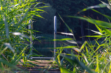 Small dock at the lake with reeds