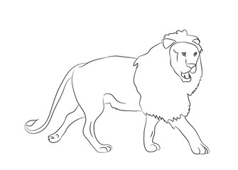 dog portrait profile, look down