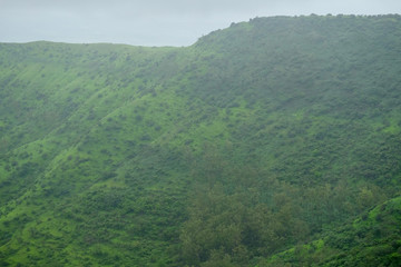 Lush green monsoon nature landscape mountains, hills, Purandar, Maharashtra, India 