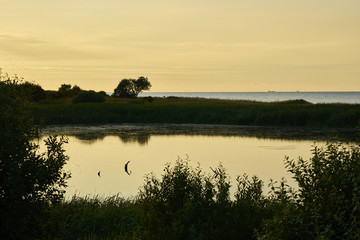 Ostseestrand bei Hohenfelde, Kreis Plön,  Schleswig-Holstein, Deutschland