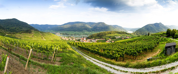 Road to vineyards in Wachau valley. Austria.